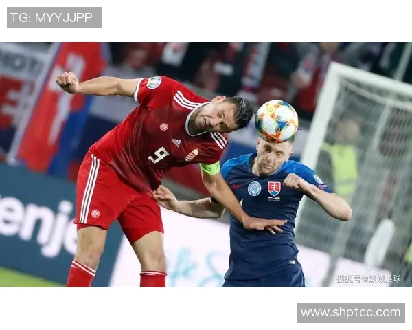 波黑与奥地利足球对决结果揭晓精彩瞬间回顾与分析